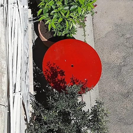 La Casa Dell Arte Centre Apartment Arles
